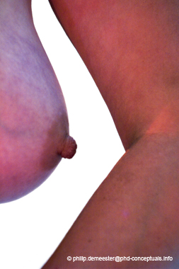ab-05-2-0491