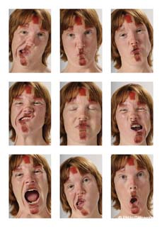 collagekattelijne