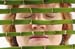 080601_sluier_176