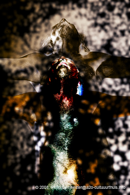 RaymondNoe-04-05-07-montage2