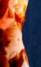 070715_SienGelders_0026