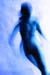 070717_SienGelders_0211a