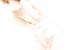 070718_SienGelders_0241 copy2