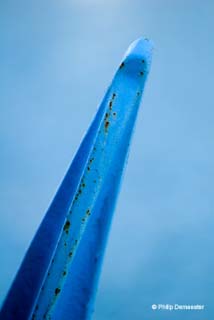 070604_duinkerke_021
