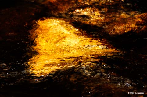 08_Morvan__colage