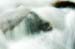 08_Morvan__532