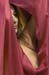 08111_sluier_0807