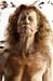 081207_sluier_0867
