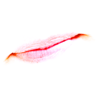 � Philip.Demeester@phd-conceptuals.info