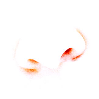 � Philip.Demeester@phd-conceptuals.info