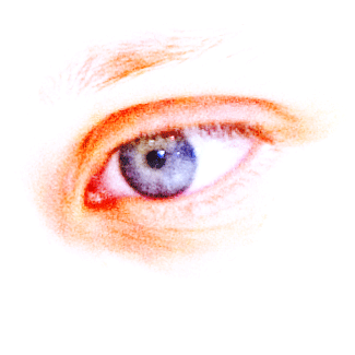� Philip.Demeester@phd-conceptuals.info