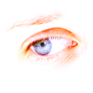 � Philip.Demeester@phd-conceptuals.info